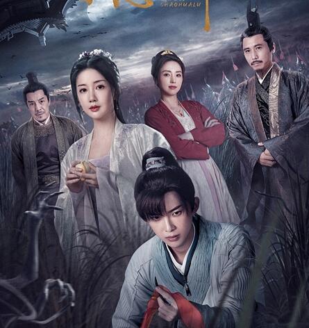 宋慈韶華錄電視劇一共多少集