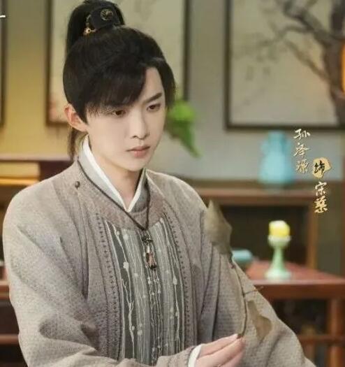 宋慈韶華錄有原著嗎