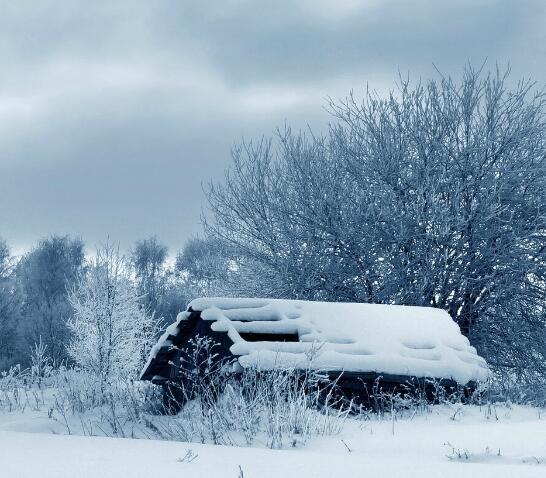 我期待的不是雪而是有你的冬天歌曲歌詞