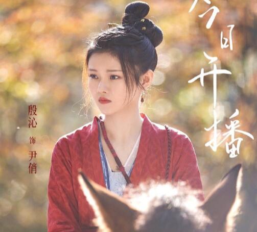 宋慈韶華錄尹俏是什么身份背景