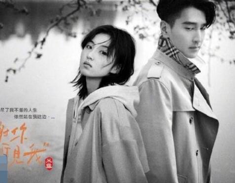 我的大叔中國版選角男女主是誰