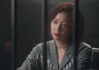 獵罪圖鑒褚英子案講了什么