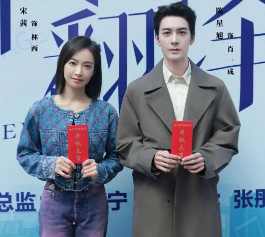 我們的翻譯官原著小說叫什么