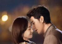 我們的翻譯官一共多少集 主要講什么故事的