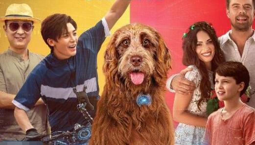 家有兒女之神犬當(dāng)家什么時候上映