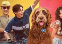 家有兒女之神犬當(dāng)家什么時候上映