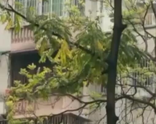 女子180萬(wàn)賣(mài)掉杭州房子120萬(wàn)買(mǎi)回 究竟是怎么回事？