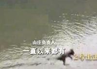 貴州黔靈山猴子變“跳水隊(duì)” 原因竟是這樣太搞笑了