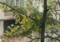 女子180萬賣掉杭州房子120萬買回 究竟是怎么回事？