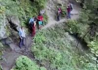 羅馬尼亞女孩被熊扔下懸崖 畫面曝光簡直令人痛心