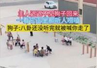 狗子坐凳子上聽人嘮嗑 始料未及真相簡直太意外了