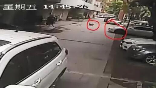 5歲女童小區(qū)內(nèi)玩耍時(shí)被碾壓致死 究竟是怎么回事？