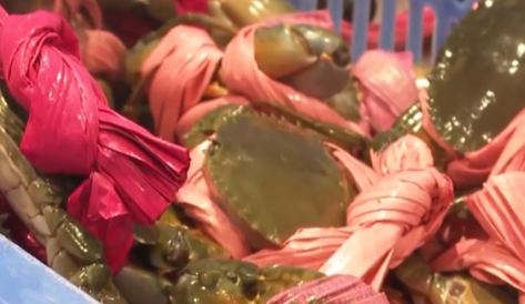 男子60元買螃蟹20元是繩 這太無語了