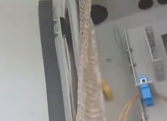 小區(qū)樓道發(fā)現(xiàn)巨長蛇蛻 多方回應(yīng) 背后真相實在讓人驚愕
