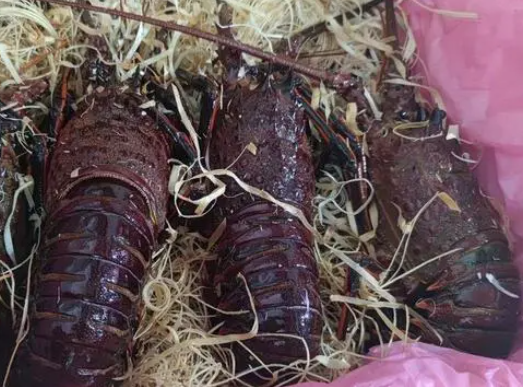 杭州有海鮮老板7天入賬200萬元 這也太夸張了