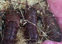 杭州有海鮮老板7天入賬200萬元 這也太夸張了