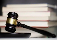 烏龜墜樓砸死幼童 飼主判賠128萬(wàn) 究竟是怎么回事？