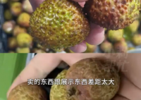 8歲男孩花1萬多網(wǎng)購26箱荔枝 畫面曝光簡直不忍直視