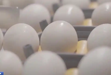 醫(yī)生稱無菌蛋并非百分百無細(xì)菌 背后真相實在讓人驚愕