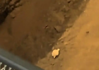 兵馬俑坑咋成“失物招領(lǐng)處”了 事件始末2025最新消息