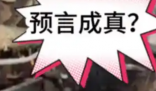 日本末世預(yù)言有民眾隨身帶遺囑 究竟是怎么回事？