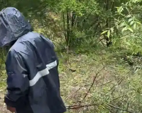 3對(duì)母女包車游墜河 2死5失聯(lián) 始料未及真相簡(jiǎn)直太意外了