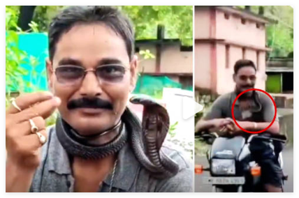 印度捕蛇人將蛇繞脖上騎車被咬身亡 事件始末2025最新消息