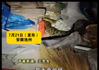 老人在雜物中發(fā)現(xiàn)“看家蛇” 這條蛇始終守護在蛇蛋旁