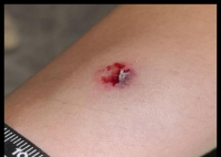 司機(jī)等紅燈向路人射鋼珠致4人受傷 背后真相實(shí)在讓人驚愕