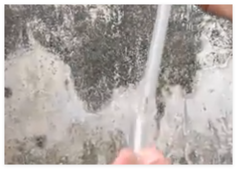 廣東滅蚊next level:放蚊子吃蚊子 事件始末2025最新消息