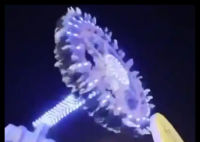 沙特游樂場“大擺錘”突然斷裂 為什么斷裂什么原因？