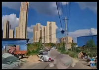 女子單手騎車摔倒 相隔7米汽車擔(dān)責(zé) 內(nèi)幕曝光簡直太意外了