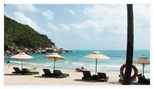 三亞7199元一晚的酒店蟲(chóng)子成群 為什么這么多蟲(chóng)子？