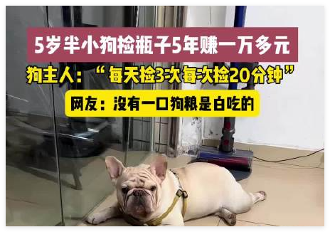 5歲半小狗撿瓶5年攢下萬(wàn)元存款 背后真相實(shí)在讓人驚愕
