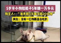 5歲半小狗撿瓶5年攢下萬元存款 背后真相實在讓人驚愕