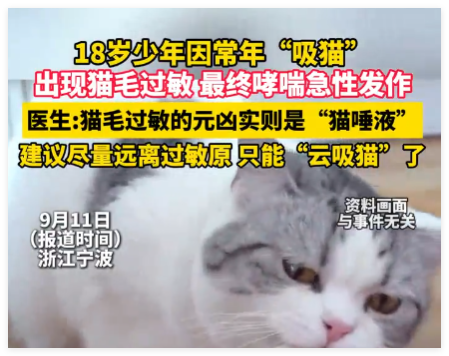 男孩常年“吸貓”致哮喘急性發(fā)作 究竟是怎么回事？