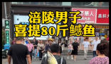 男子背著釣到的79斤鳡魚在鬧市穿行 事件始末2025最新消息