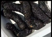 德克士回應(yīng)黑金藤椒小酥肉外形被吐槽 內(nèi)幕實在讓人驚個呆