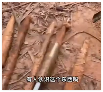 養(yǎng)豬場丟失20多頭豬發(fā)現(xiàn)多支箭頭 到底是什么情況？