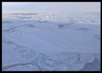 研究:南極海底甲烷滲出速度驚人 真相簡直太意外了