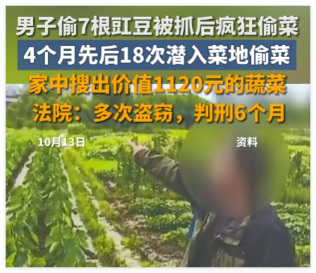 男子4個(gè)月偷菜18次獲刑6個(gè)月 究竟是怎么回事？