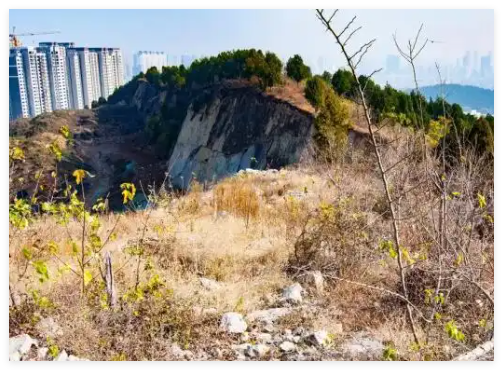 “摸金校尉”在村里租房3年秘密尋墓 事件始末2025最新消息