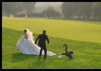 新人拍婚紗照遭遇“黑天鵝搶新娘” 內幕實在讓人驚個呆