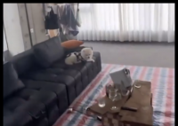 90后小伙花7000元裝修入住毛坯房 內(nèi)幕曝光簡直太意外了