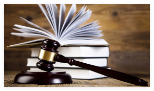 遛狗未拴繩驚倒路人 飼養(yǎng)人賠28萬 事件始末2025最新消息