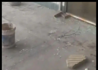 山西“狗咬人引發(fā)的血案”今日開庭 背后真相實在讓人驚愕