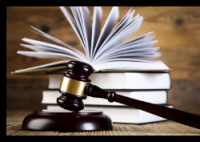 遛狗未拴繩驚倒路人 飼養(yǎng)人賠28萬 事件始末2025最新消息